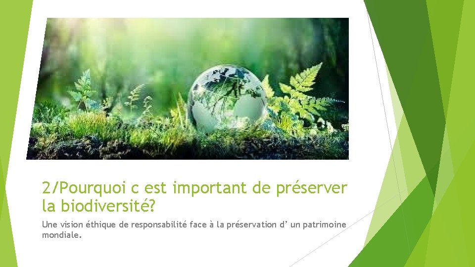 2/Pourquoi c est important de préserver la biodiversité? Une vision éthique de responsabilité face