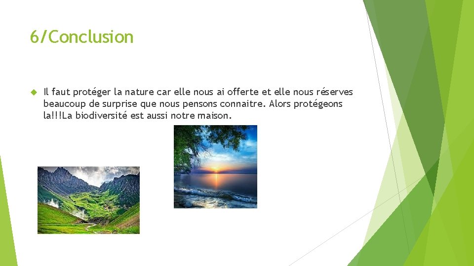 6/Conclusion Il faut protéger la nature car elle nous ai offerte et elle nous