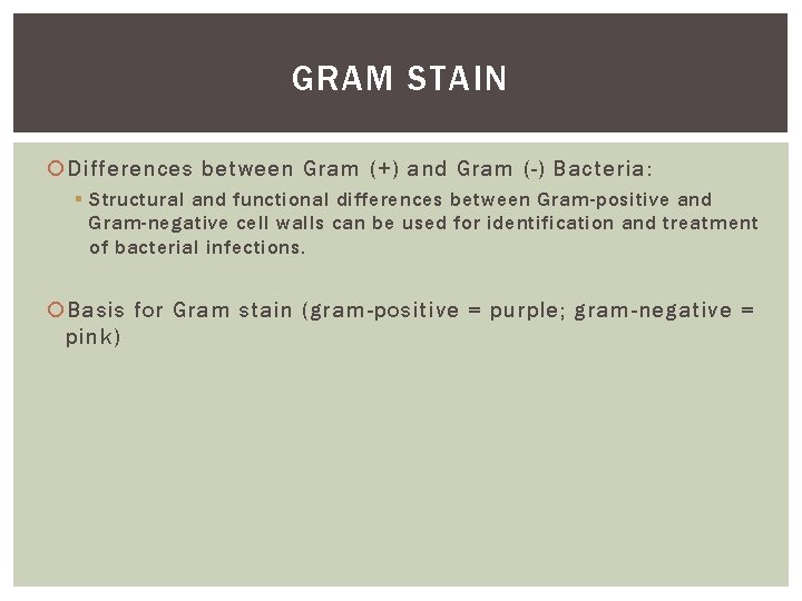 GRAM STAIN Differences between Gram (+) and Gram (-) Bacteria: § Structural and functional