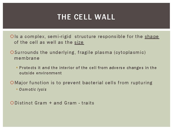 THE CELL WALL Is a complex, semi-rigid structure responsible for the shape of the