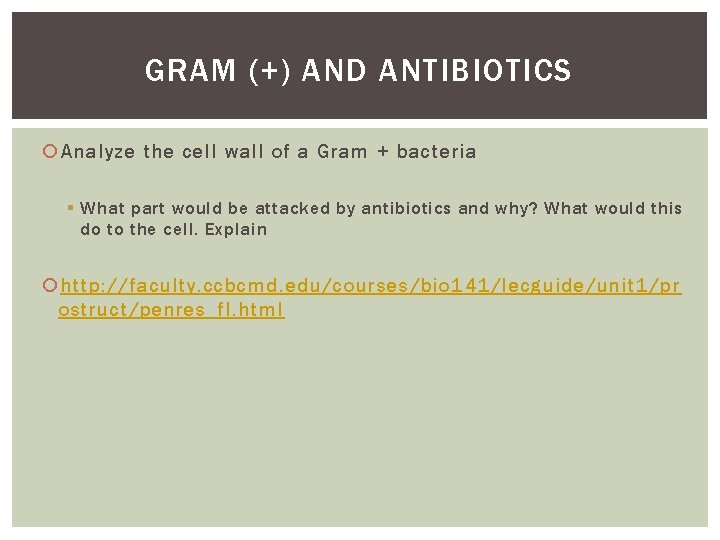 GRAM (+) AND ANTIBIOTICS Analyze the cell wall of a Gram + bacteria §