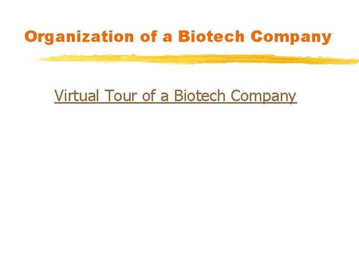 Organization of a Biotech Company Virtual Tour of a Biotech Company Organization of a Biotech Company Virtual Tour of a Biotech Company