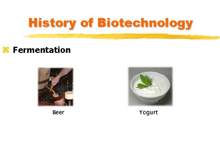 History of Biotechnology z Fermentation History of Biotechnology z Fermentation