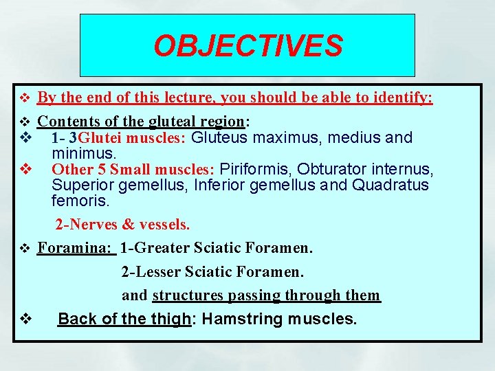 OBJECTIVES v By the end of this lecture, you should be able to identify: