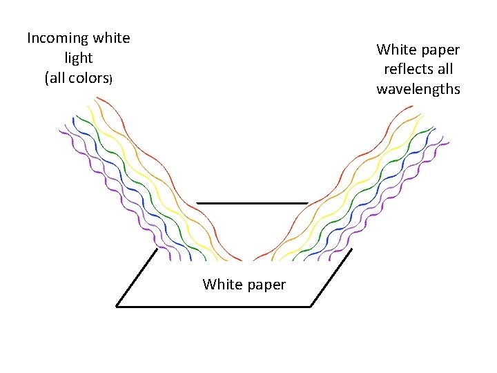 Incoming white light (all colors) White paper reflects all wavelengths White paper Incoming white light (all colors) White paper reflects all wavelengths White paper