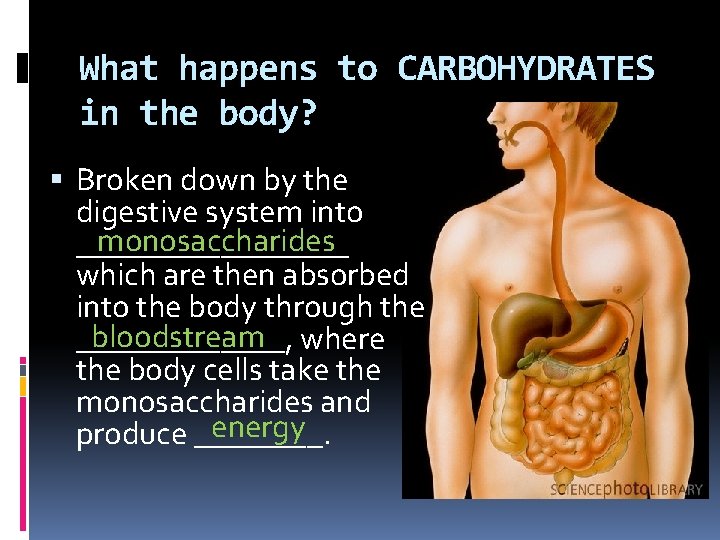 Carbon Compounds BIOCHEMISTRY I Role of Carbon in