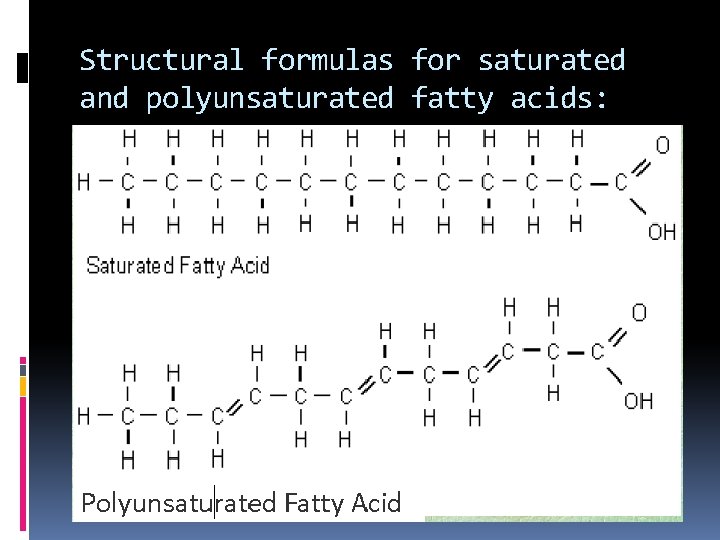 Structural formulas for saturated and polyunsaturated fatty acids: 