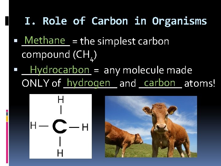 I. Role of Carbon in Organisms Methane = the simplest carbon _____ compound (CH