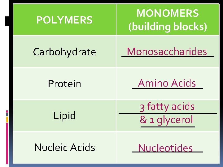 POLYMERS MONOMERS (building blocks) Carbohydrate Monosaccharides _________ Protein Amino Acids _______ Lipid 3 fatty