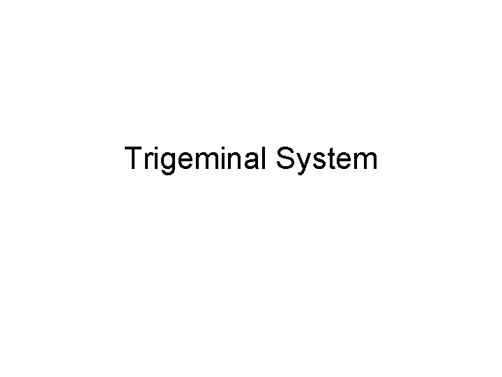 Trigeminal System 