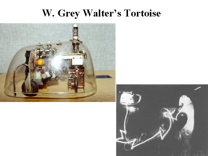 W. Grey Walter’s Tortoise 