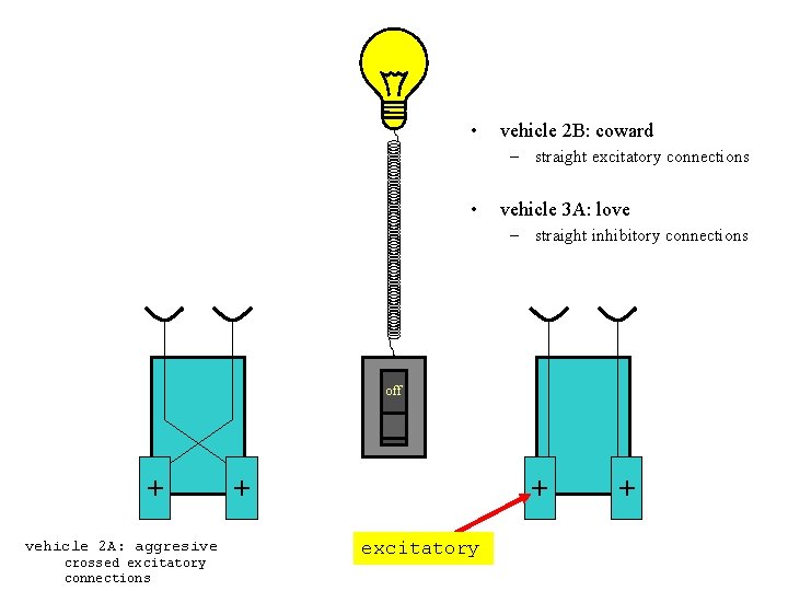  • vehicle 2 B: coward – straight excitatory connections • vehicle 3 A: