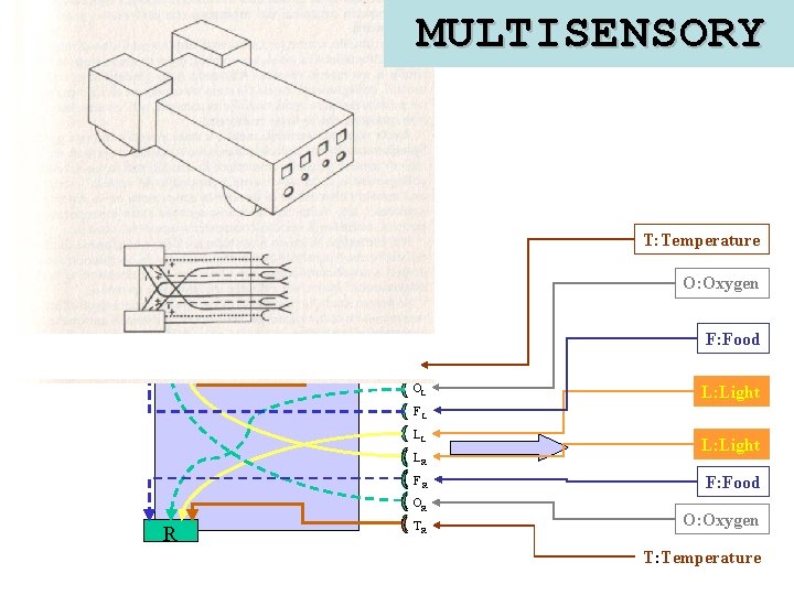 MULTISENSORY T: Temperature O: Oxygen F: Food L TL OL L: Light FL LL