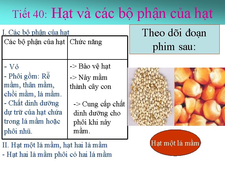 Tiết 40: Hạt và các bộ phận của hạt I. Các bộ phận của