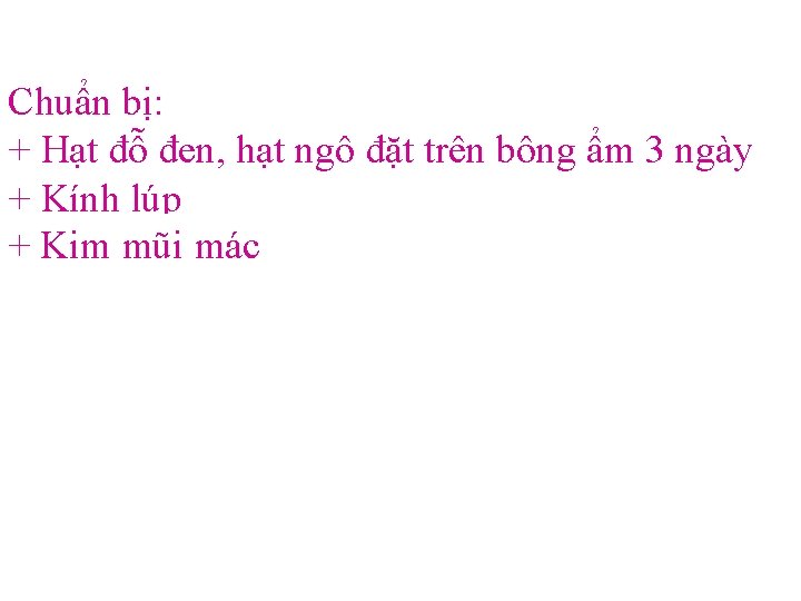 Chuẩn bị: + Hạt đỗ đen, hạt ngô đặt trên bông ẩm 3 ngày