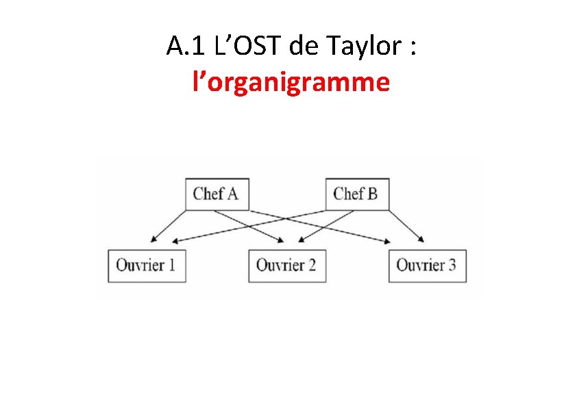 A. 1 L’OST de Taylor : l’organigramme 