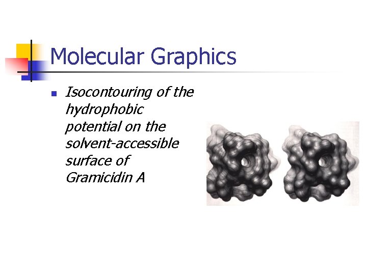 Molecular Graphics n Isocontouring of the hydrophobic potential on the solvent-accessible surface of Gramicidin