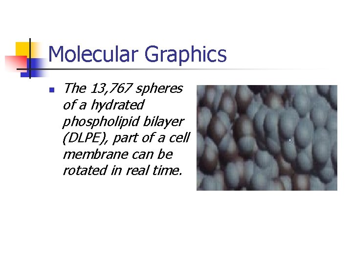 Molecular Graphics n The 13, 767 spheres of a hydrated phospholipid bilayer (DLPE), part