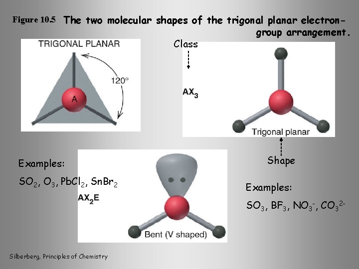 Figure 10. 5 The two molecular shapes of the trigonal planar electron- Class Examples:
