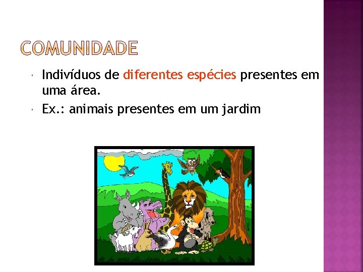  Indivíduos de diferentes espécies presentes em uma área. Ex. : animais presentes em