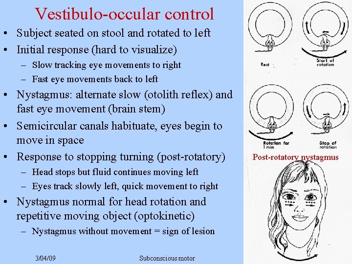 Vestibulo-occular control • Subject seated on stool and rotated to left • Initial response