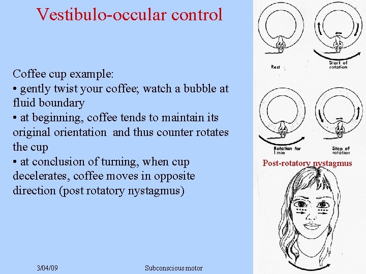 Vestibulo-occular control Coffee cup example: • gently twist your coffee; watch a bubble at