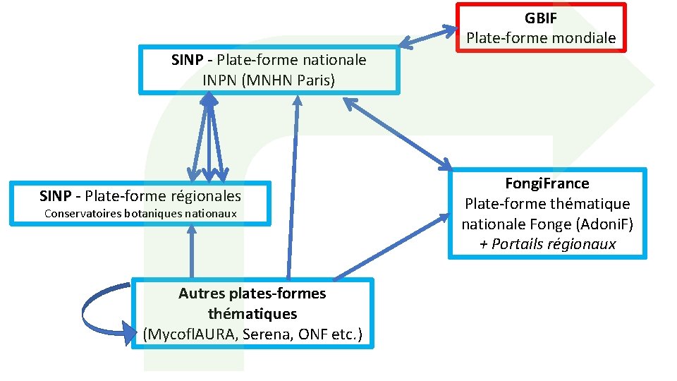 GBIF Plate-forme mondiale SINP - Plate-forme nationale INPN (MNHN Paris) SINP - Plate-forme régionales