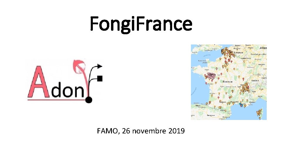 Fongi. France FAMO, 26 novembre 2019 
