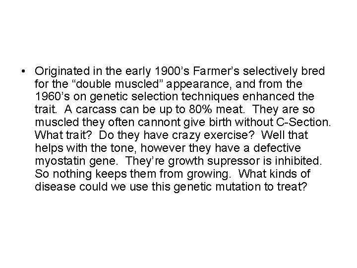  • Originated in the early 1900’s Farmer’s selectively bred for the “double muscled”