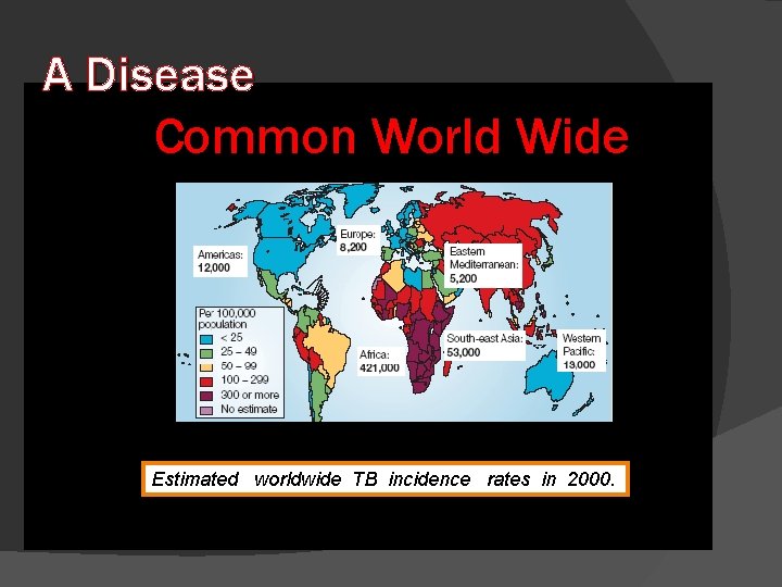 A Disease Common World Wide Estimated worldwide TB incidence rates in 2000. 