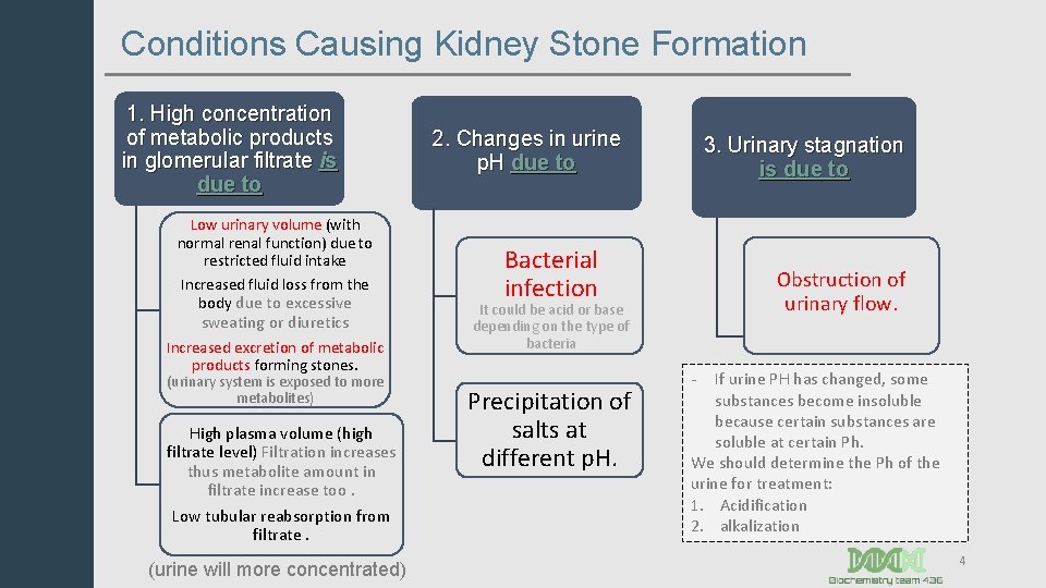 Conditions Causing Kidney Stone Formation 1. High concentration of metabolic products in glomerular filtrate