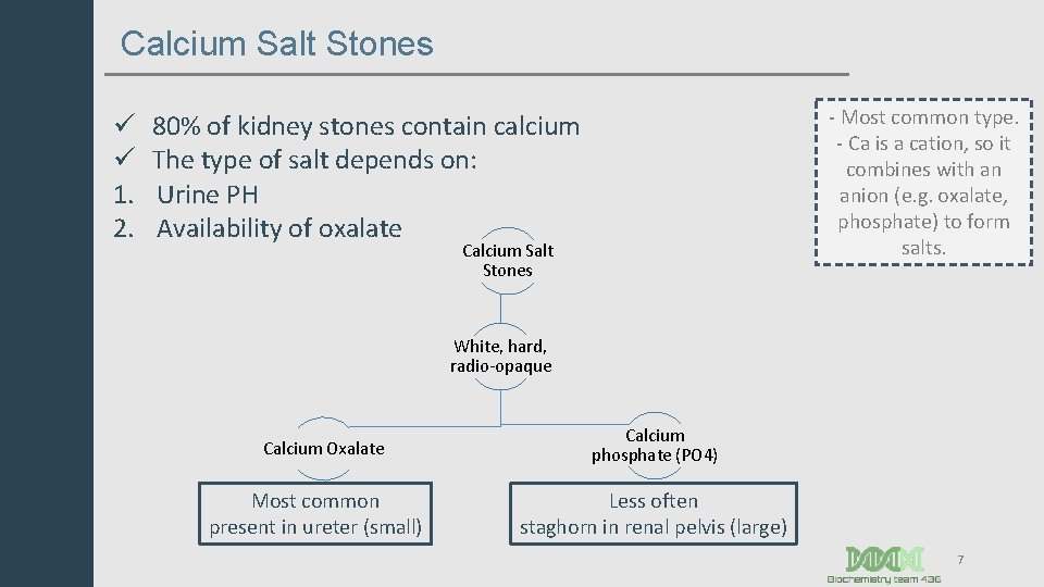 Calcium Salt Stones ü ü 1. 2. - Most common type. - Ca is