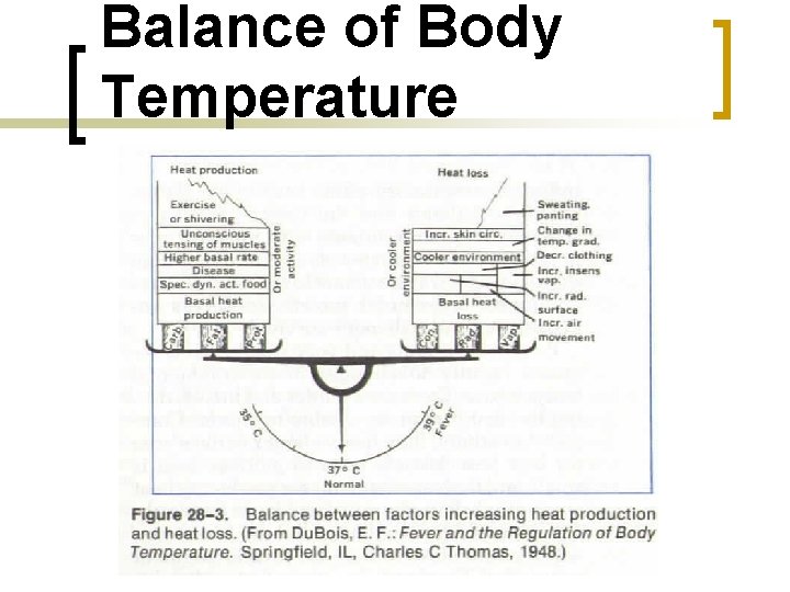 Balance of Body Temperature 