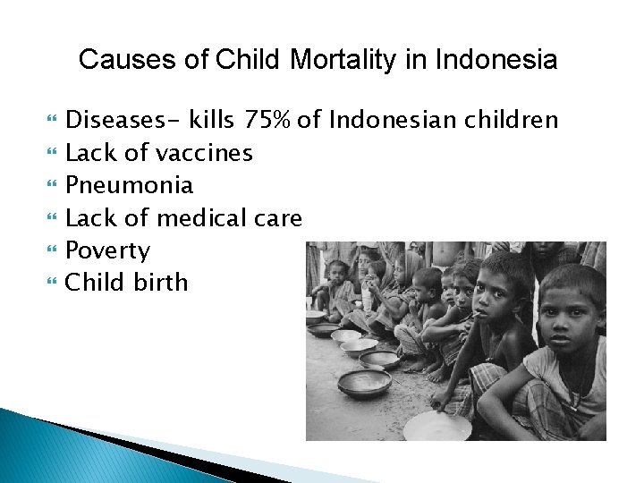 Causes of Child Mortality in Indonesia Diseases- kills 75% of Indonesian children Lack of