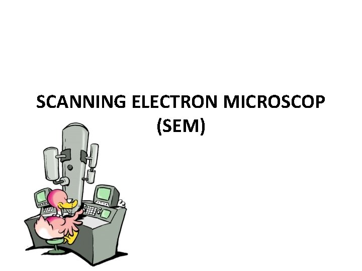 SCANNING ELECTRON MICROSCOP (SEM) 