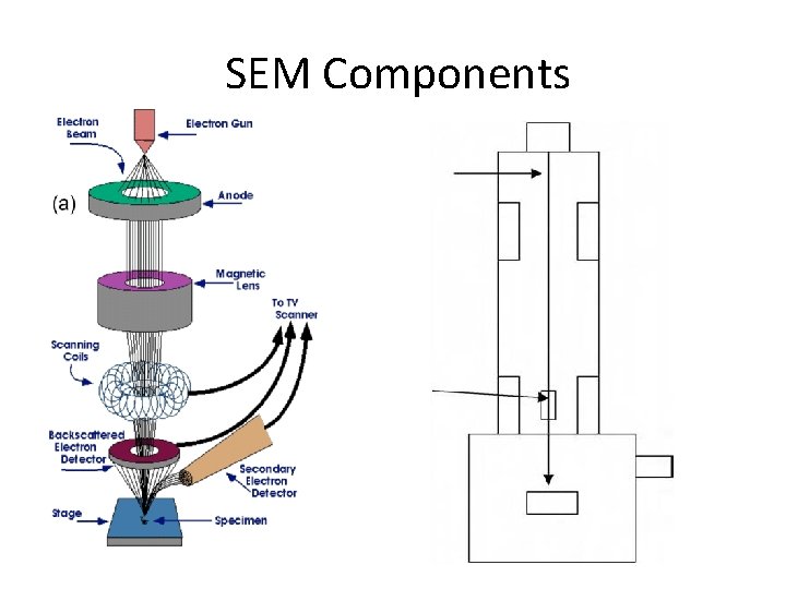 SEM Components 