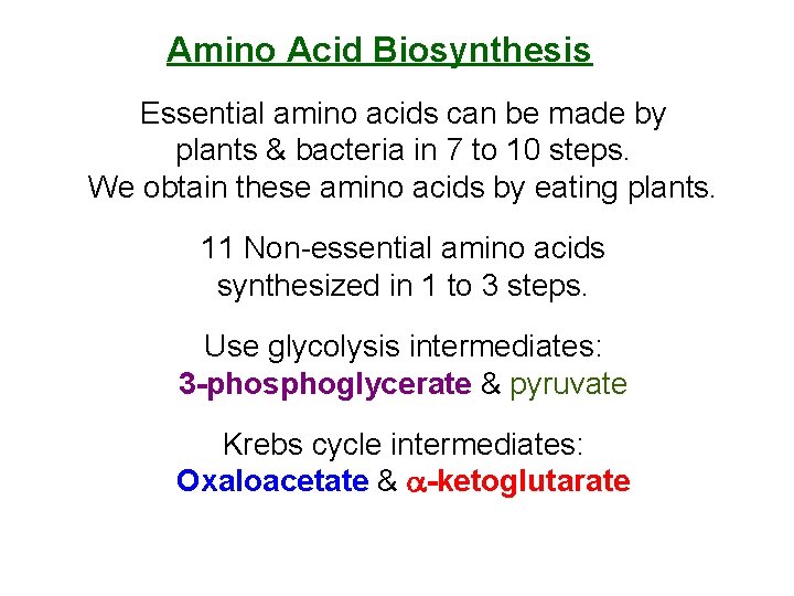 Amino Acid Biosynthesis Essential amino acids can be made by plants & bacteria in