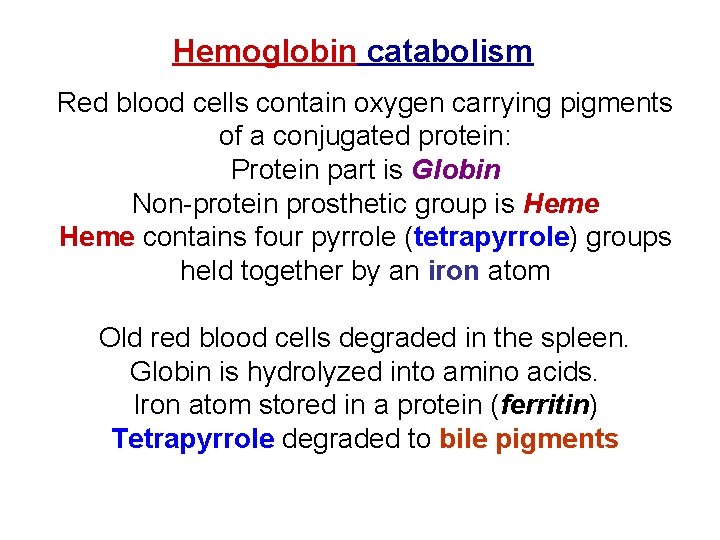 Hemoglobin catabolism Red blood cells contain oxygen carrying pigments of a conjugated protein: Protein