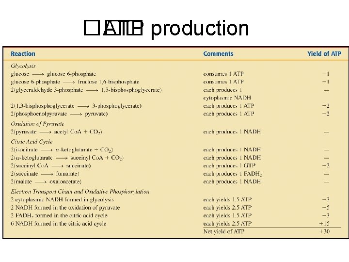 ��� ATP production 