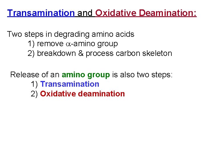 Transamination and Oxidative Deamination: Two steps in degrading amino acids 1) remove -amino group