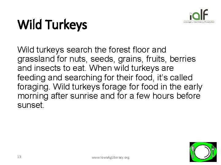 Wild Turkeys Wild turkeys search the forest floor and grassland for nuts, seeds, grains,