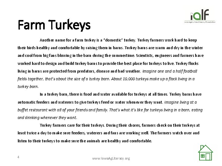 Farm Turkeys Another name for a farm turkey is a “domestic” turkey. Turkey farmers