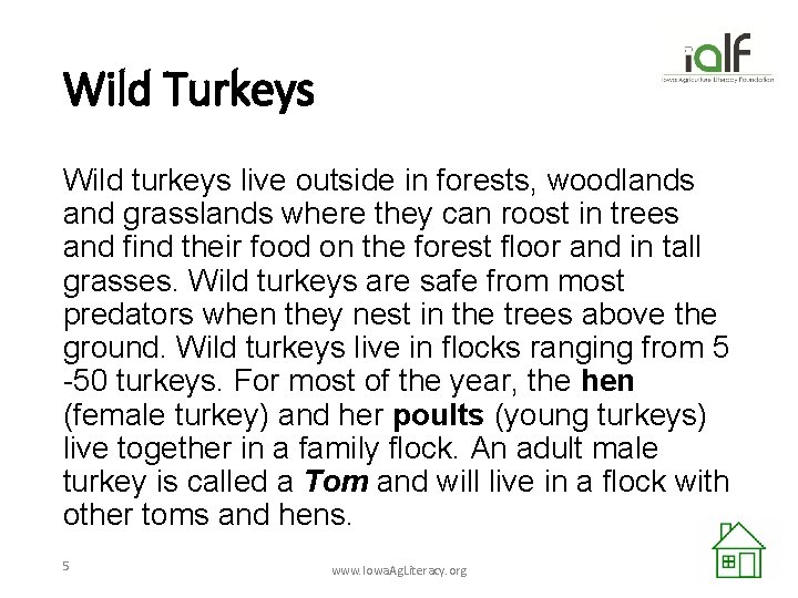 Wild Turkeys Wild turkeys live outside in forests, woodlands and grasslands where they can