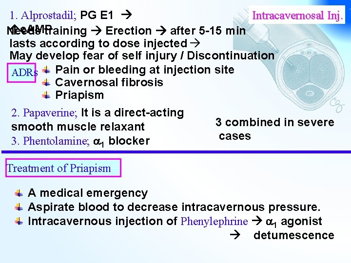 Intracavernosal Inj. 1. Alprostadil; PG E 1 c. AMP Needs training Erection after 5