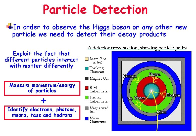 Particle Detection In order to observe the Higgs boson or any other new particle