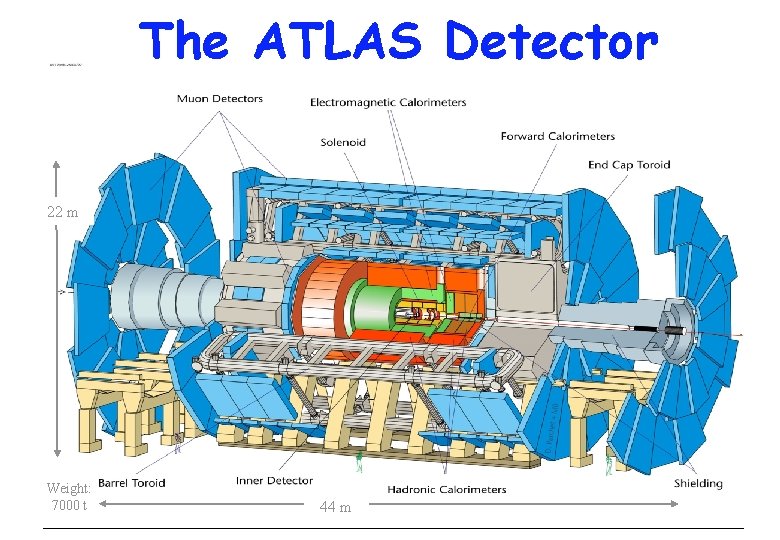 The ATLAS Detector 22 m Weight: 7000 t 44 m 