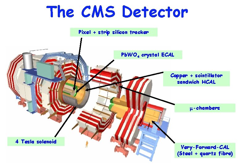 The CMS Detector Pixel + strip silicon tracker Pb. WO 4 crystal ECAL Copper