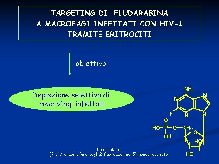 TARGETING DI FLUDARABINA A MACROFAGI INFETTATI CON HIV-1 TRAMITE ERITROCITI obiettivo NH 2 Deplezione