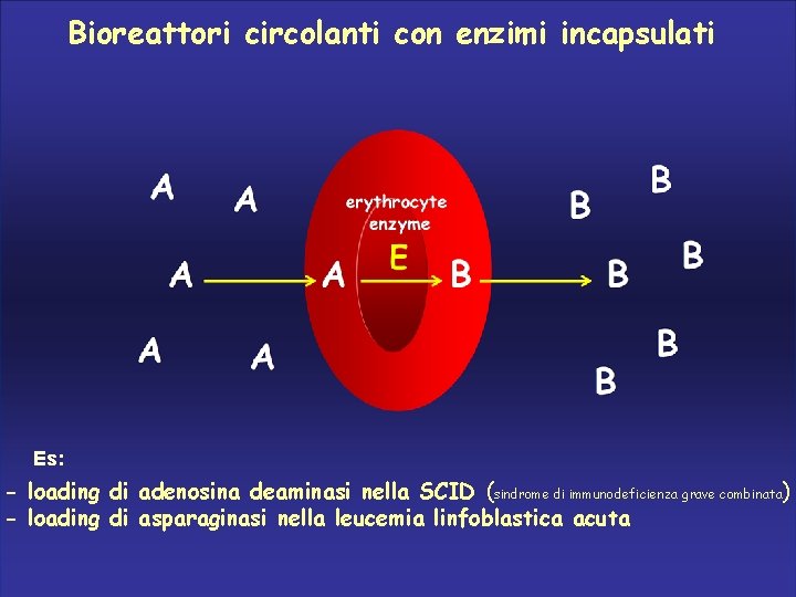 Bioreattori circolanti con enzimi incapsulati Es: - loading di adenosina deaminasi nella SCID (sindrome