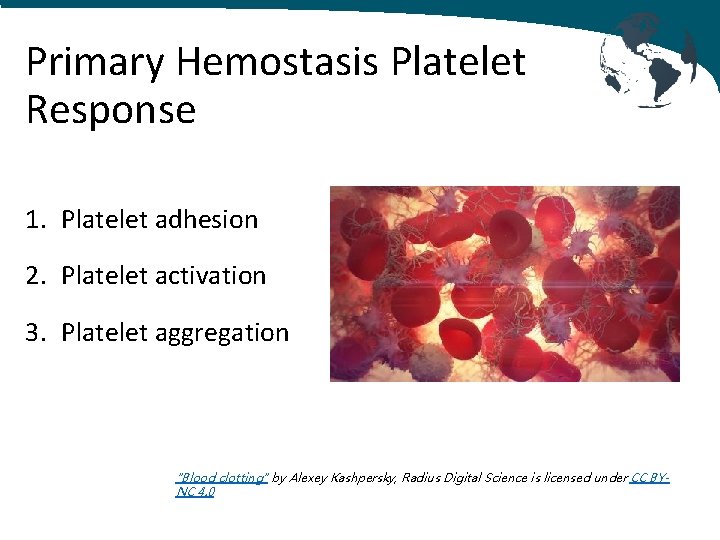 Primary Hemostasis Platelet Response 1. Platelet adhesion 2. Platelet activation 3. Platelet aggregation "Blood
